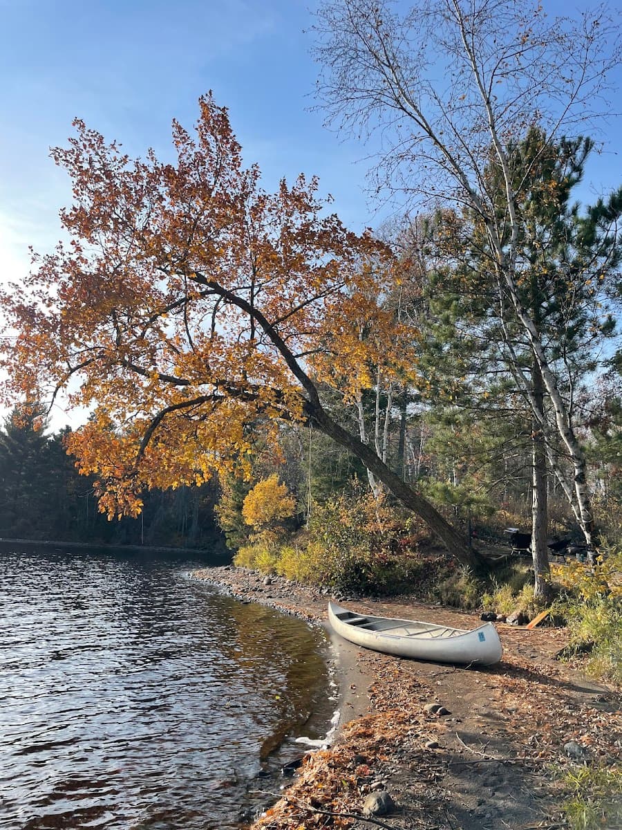 Island Lake Campsite #5