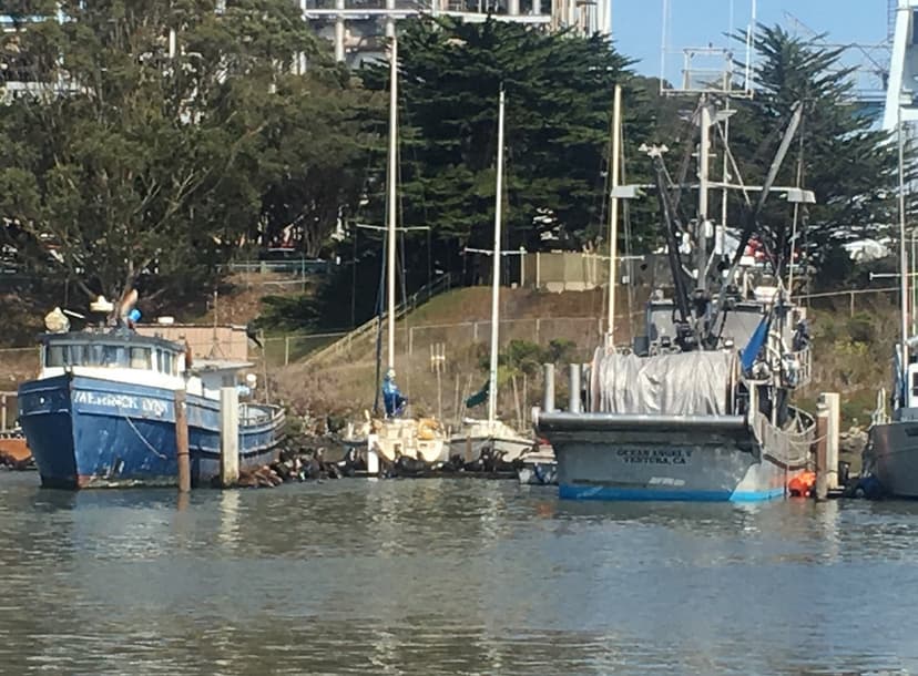 Moss Landing KOA Express