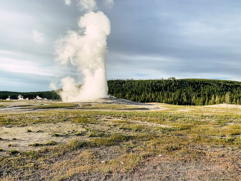 Old Faithful erupting from a wide meadow landscape